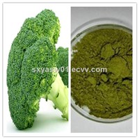 Natural High Quality Broccoli Powder