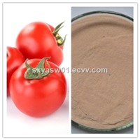 Natural High Quality Tomato (Juice) Powder