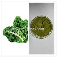 Natural Rich in Minerals Kale (Juice) Powder