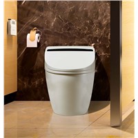 HM800 Elite Washdown Automatic Cleaning Smart Lavatory Nightstool with Floor Mounted