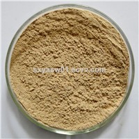 Natural 10: 1 20: 1 Anemone Root Extract
