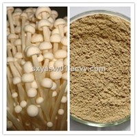 100% Pure Natural Needle Mushroom Powder