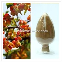 Natural 10:1 Flatstem Milkvetch Seed Extract
