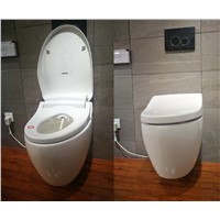 VH555 Wall Mounted One Piece Rimless Siphon automatic warm wash Intelligent Toilet