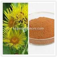 Natural 10:1 20:1 Costus Root Extract