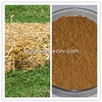 Natural 10:1 20:1 Oat Straw Extract