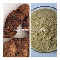 Natural 10:1 20:1 Rehmannia Root Extract