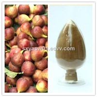 Natural 10:1 20:1 Fig Fruit Extract
