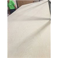 4x8 White Russia Birch Plywood. Funiture Plywood, BB/BB, BB/CP, CP/CP.