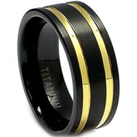 Titanium Two Tone Wedding Band Ring