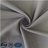 Nylon Spandex Warp Knitting Fabric/ Jacquard Fabric for Fashion Wear