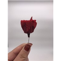 China Premium Preserved Flowers Heads for Making Flower Box
