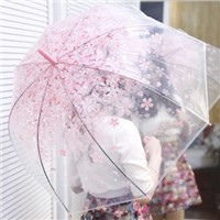 RST Real Star Transparent Good Quality Clear Umbrella Plastic Unique Sakura Poe Umbrella with Sakura