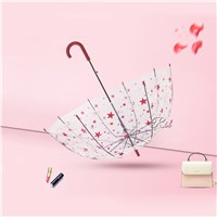 RST Real Star Umbrella Wholesale Hot Selling Star Pattern Fashion Chinese Clear Dome Umbrella