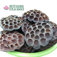 Dried Natural Arrangements Decoration Lotus Seedpod Head Shell Herbal Medicine Wholesaler Exporter Supplier