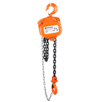 Hot Selling Chinese Chain Hoist
