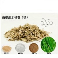 Salicin 15% 25% 98% Extract Powder of White Willow Bark
