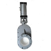 Pneumatic Ceramic Double Plate Gate Valve for Dense Phase Pneumatic Conveying System At Thermal Plant
