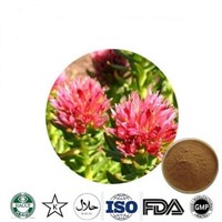 the Best Grade Rhodiola Rosea Extract