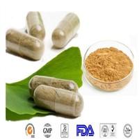 Top Quality Ginkgo Biloba Extract Powder