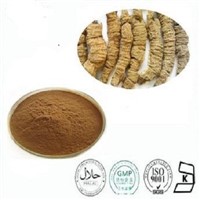 Male's Sex Enhancing Product Morinda Root / Morinda Officinalis how Extract Powder