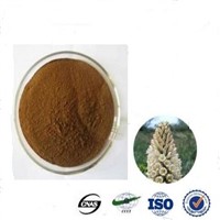 Best Price of Cistanche Plant Extract with Cistanche Salsa &amp;amp; Cistanche Deserticola with Good Price