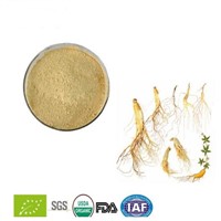 Haccp Factory Supply Natural Ginseng Extract