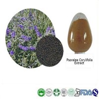 ISO Best Price Natural Organic Bakuchiol Fructus Psoraleae Extract Powder
