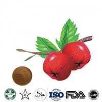 Organic Hawthorn Fruit Extract with Factory Price