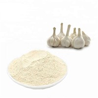 High Quality Garlic Extract 1%-5% Allicin