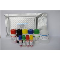 Folate Enzyme-Linked Immunosorbent Assay(ELISA) Kit