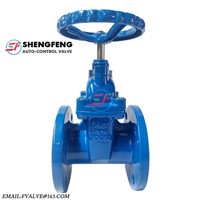 DIN3202 F4 Cast Iron Resilient Seated Gate Valve DN50 DN100