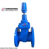 Shengfeng Brand DIN 3202 F4 Resilient Seat Gate Valve DN100 PN16