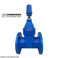 BS5163 Non Rising Stem Resilient Seat DN50 DN100 Ductile Iron Gate Valve Manufacturer