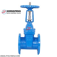 BS 5163 PN16 Cast Iron Resilient Seated Rising Spindle Stem Gate Valve