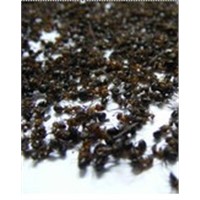 Dried Ant Food Insect Herbal ----