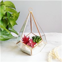 Terrarium Glass for Home Decor Handicraft