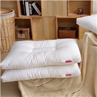 Polyester Cotton Printing Solid Hotel Pillow