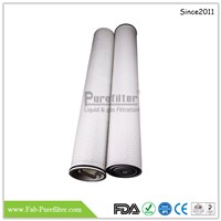 High Flow Pleated Filter Cartridge Use for Food &amp;amp; Beverage Industry &amp;amp; so on