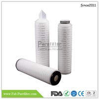 PES Membrane Pleated Filter Cartridge Use for Electronics Industry, Beverage Industry, Chemical Industry & so On
