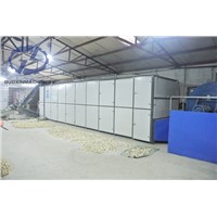 Ginger Belt Dryer for Batch & Continuous Drying Production