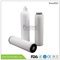 PTFE Membrane Liquid Filter Cartridge Use for Corrosive Liquid Filtration, Solvent Sterilization, Purified Water Etc