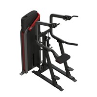 W2010 Commercial Strength Horizontal Bar &amp;amp; Parallel Bars Training Machine Fitness Equipment Gym Equipment