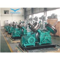 China Alibaba Manufacture Water Cooling System Oil Free CO2 Diaphragm Gas Compressor