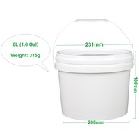 Manfacturer White Transparent Food Grade 6L Ice Cream Plastic Pail with Lid