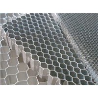 Aluminum Honeycomb Core/Sandwich for Door Plate Or Partition