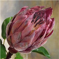 Artifical Flowers Hand Made Protea Cynaroides