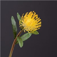 Wholesale Artificial Pin Cushion Leucospermum Cordifolium Flowers