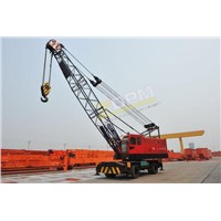 Customized Mobile Crane Manufacturer