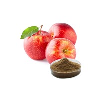 Factory Supply Apple Extract Price 80% Polyphenol 80%-98% Phloridzin